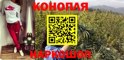 сатива Будённовск