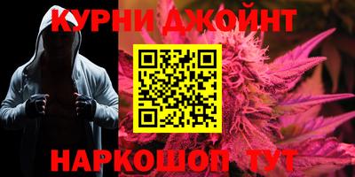 сатива Будённовск