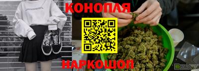 сатива Будённовск