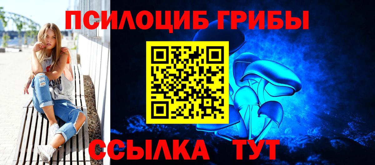 Галлюциногенные грибы Psilocybe Томск
