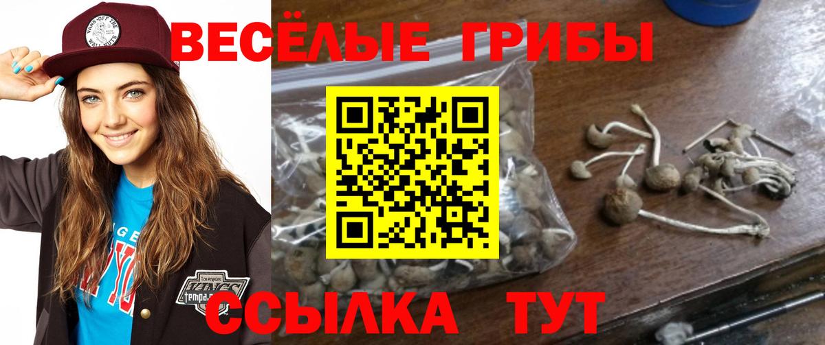 Галлюциногенные грибы прущие грибы  где продают наркотики  Томск  Вход с VPN 